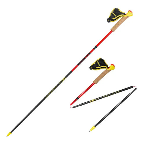 2 pcs Aonijie E4212 Full Carbon Fiber Trekking Pole 120cm - Black/Red