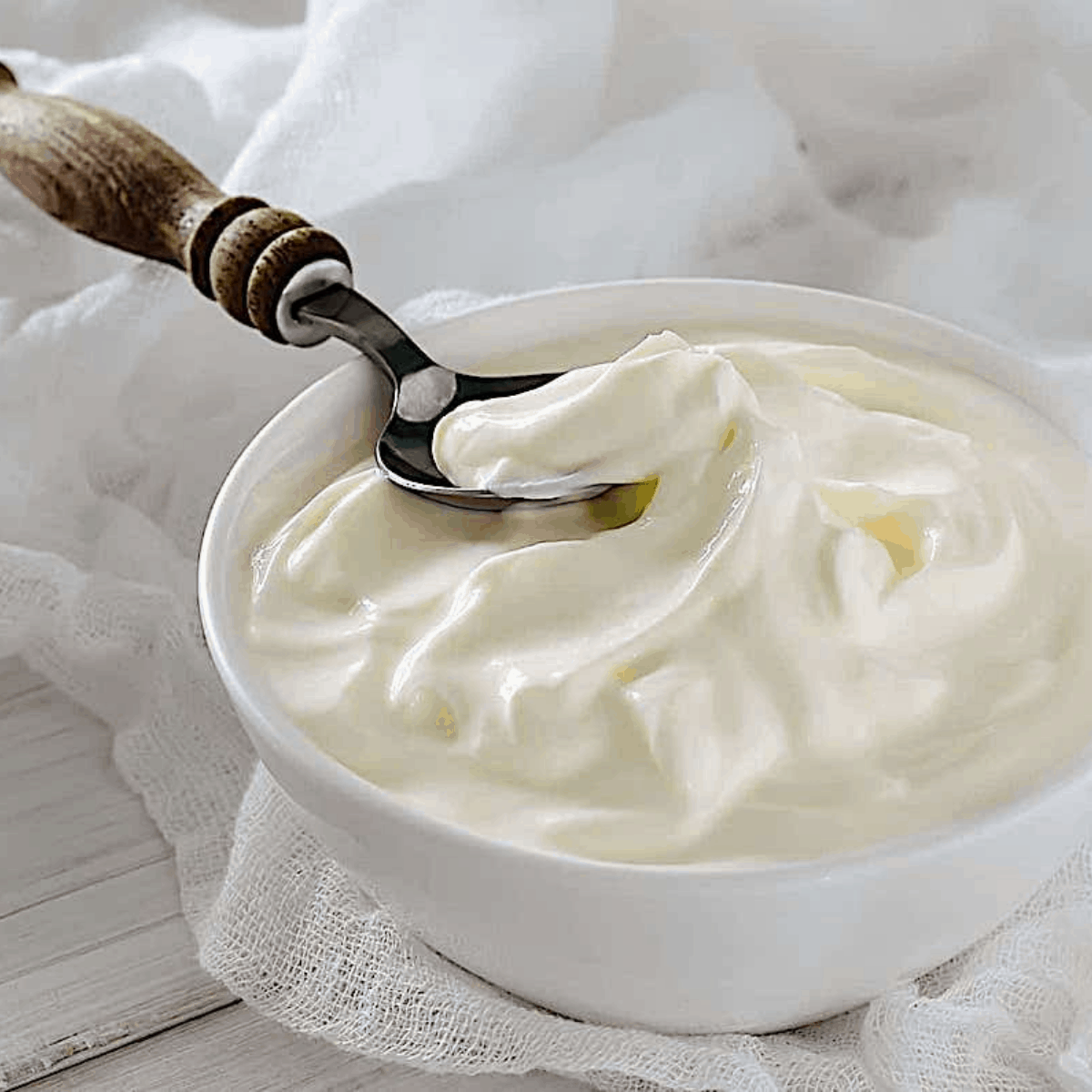 GREEK YOGURT STARTER