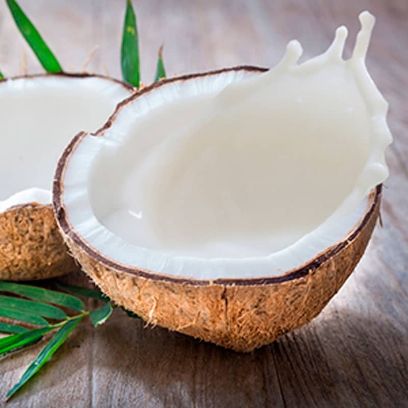 Segoi Organic COCONUT MILK SHAMPOO 1 Liter