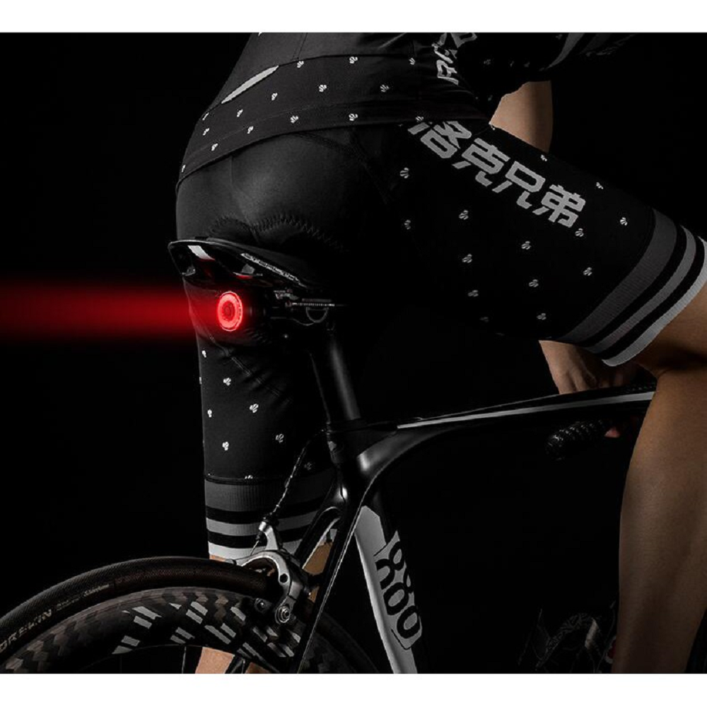 ROCKBROS - Bike Tail Light (BL-S1 ) Rechargeable Waterproof LED Rear Light