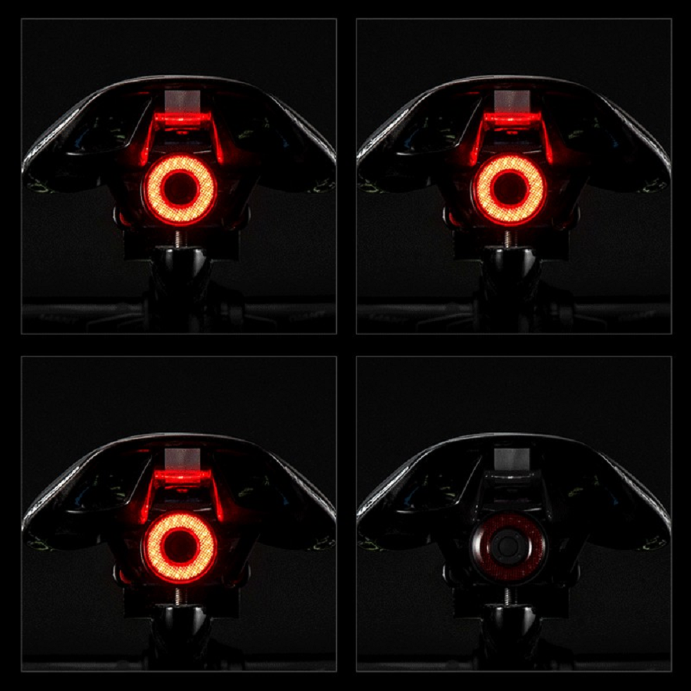 ROCKBROS - Bike Tail Light (BL-S1 ) Rechargeable Waterproof LED Rear Light
