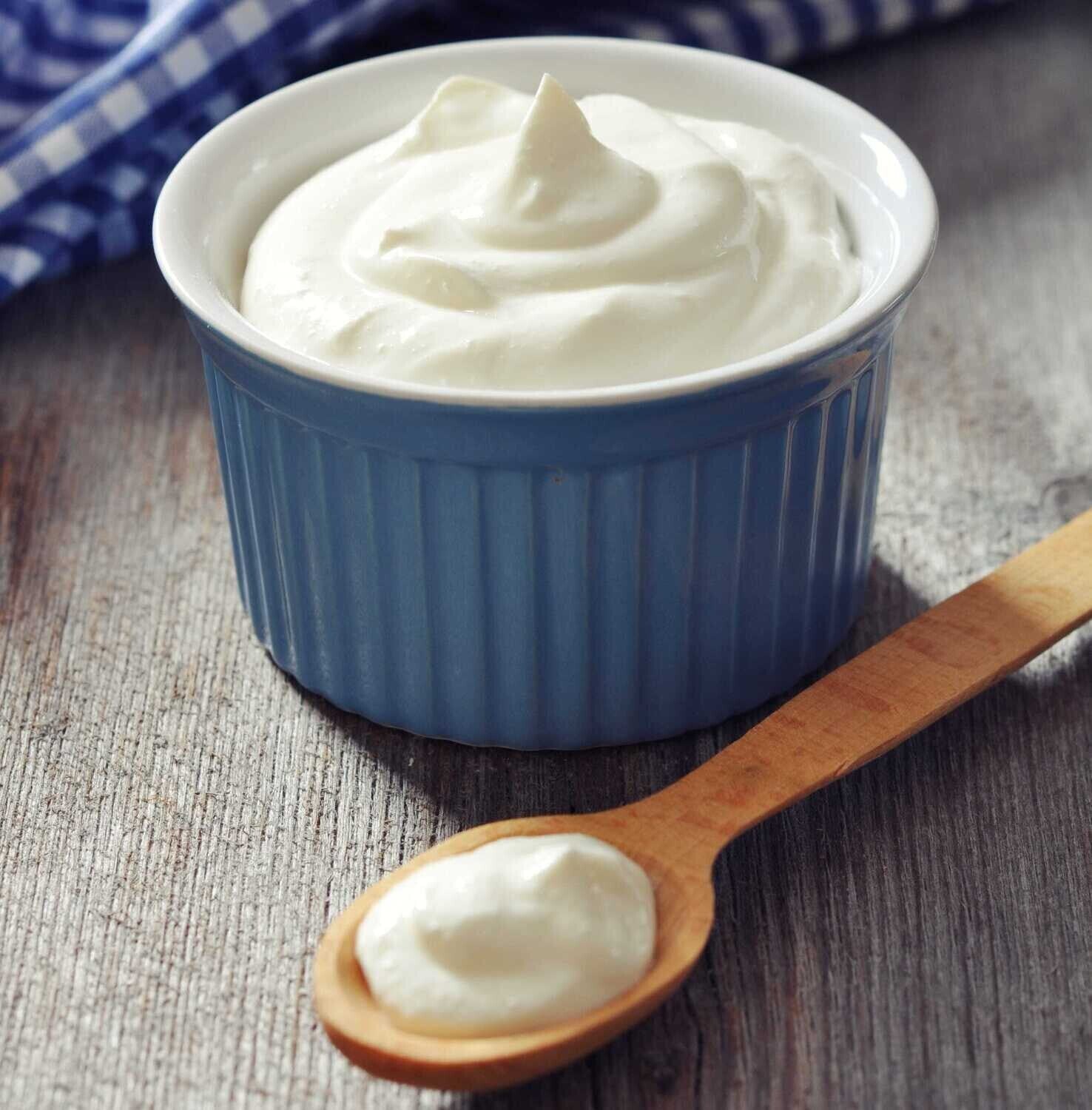 GREEK YOGURT STARTER