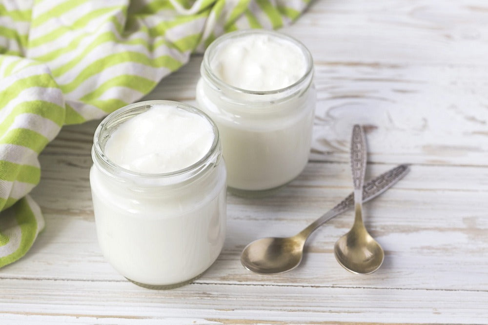 GREEK YOGURT STARTER makes 1L/2L/4L (freeze-dried) - IN POUCH