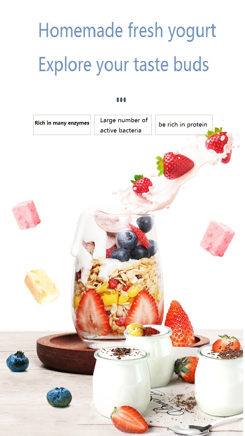 3.5L Yogurt Machine or Greek yogurt maker or make your own nato, black garlic