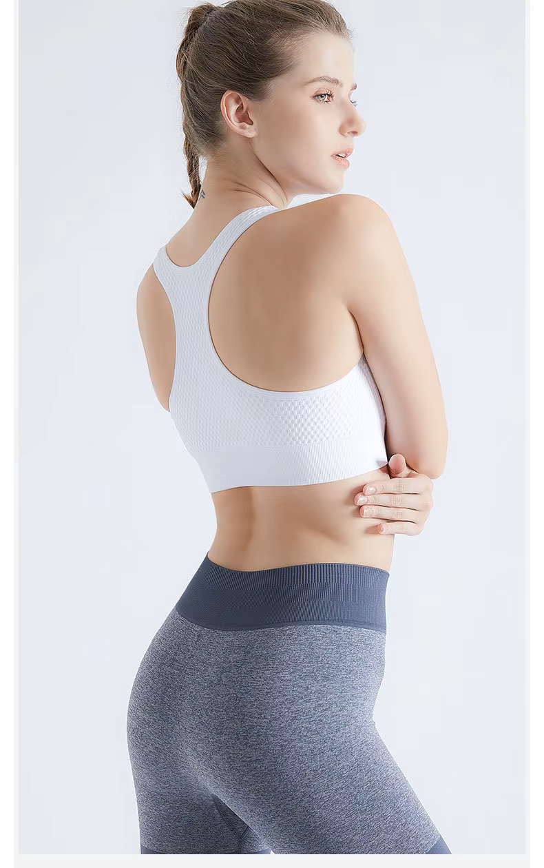 Segoi SPORTS BRA - Quick Drying, Seamless and Breathable - SPORTS BRA
