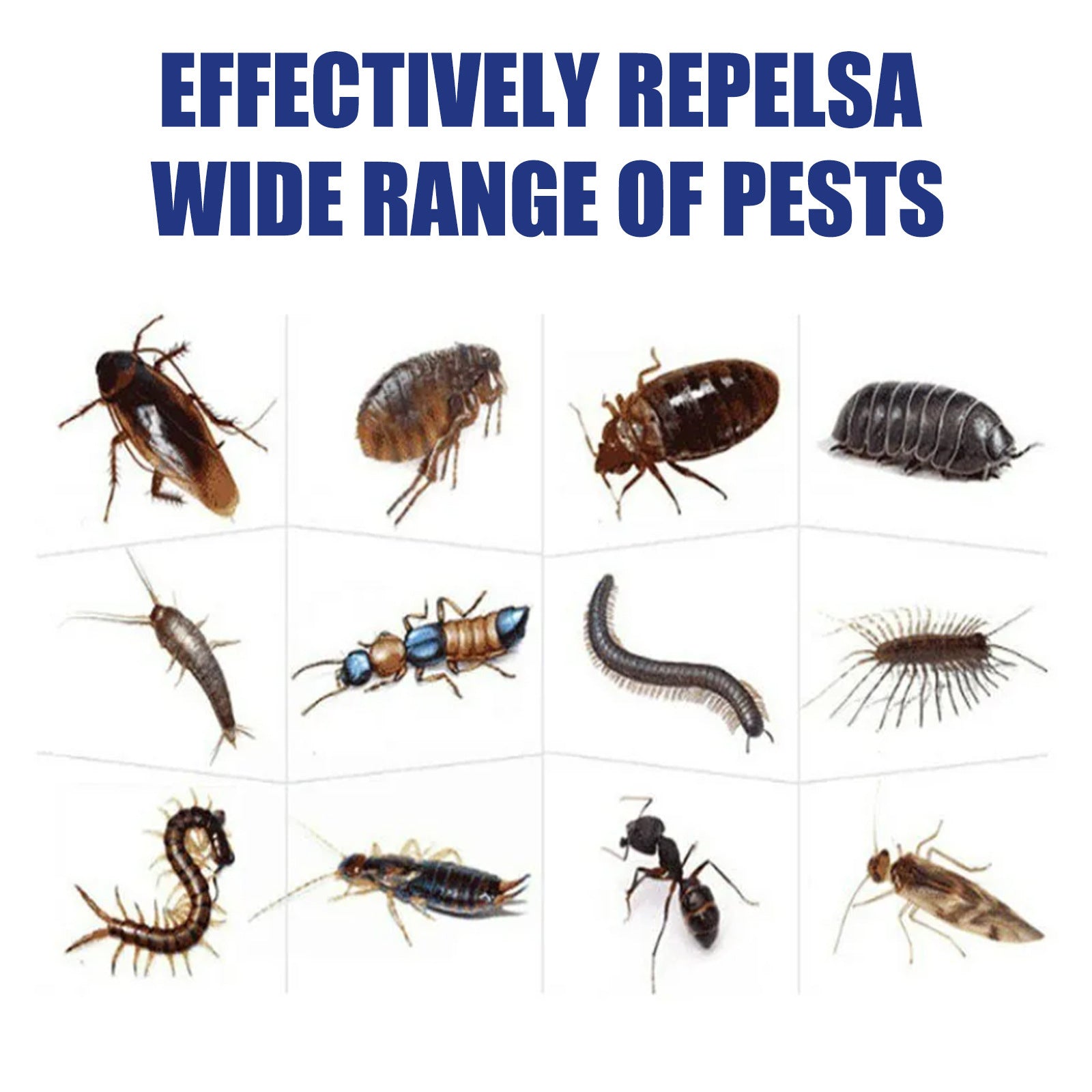 Jaysuing COCKROACH REPELLENT CREAM 120g