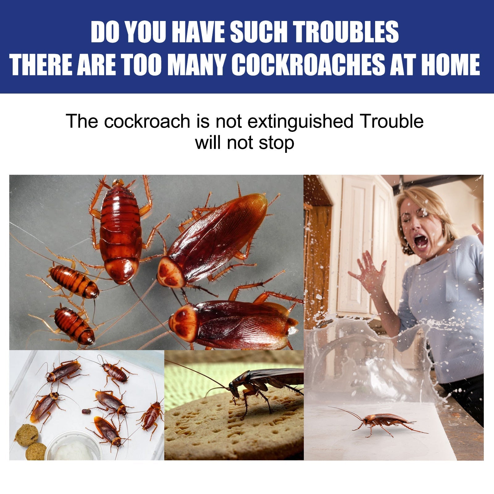 Jaysuing COCKROACH REPELLENT CREAM 120g