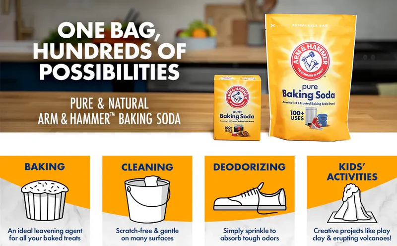 1 CASE - Arm & Hammer PURE BAKING SODA 1lb / 454g / 16oz