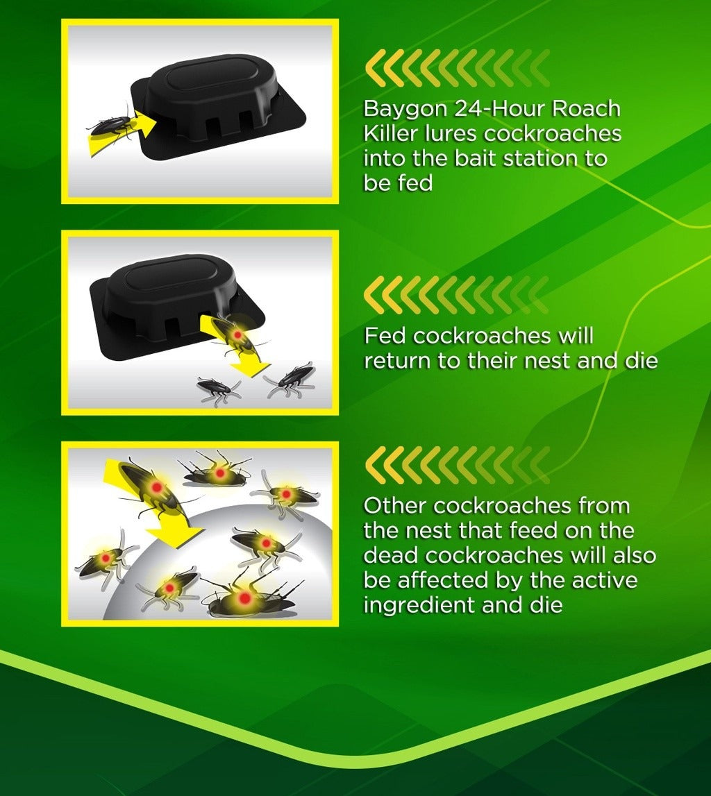 Baygon 24-Hour Cockroach Killer 6's