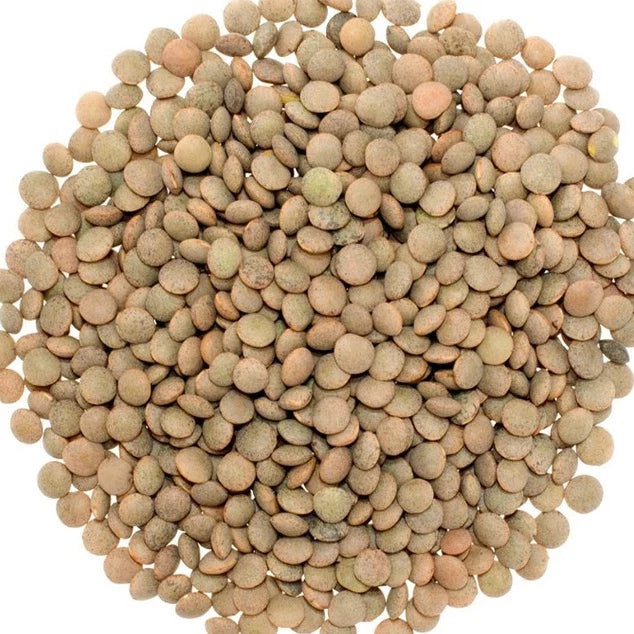 EASYCOOK LENTILS 400G